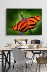 50 x 60 cm Model 68 Desenli Cam Tablo 4mm Temperli Camdır
