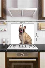 2' li 30x52 cm Cam Ocak Koruyucu Kaktüs Desenli