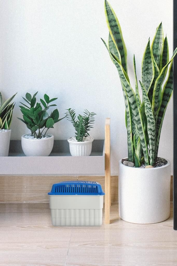 1 Kg. Dikdörtgen Nem alıcı Aparat Naturel (Tablet Dahil)