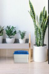 1 Kg. Dikdörtgen Nem alıcı Aparat Naturel (Tablet Dahil)