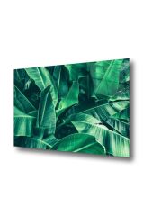 60 x 70 cm Yeşil Yapraklar Desenli Cam Tablo 4mm Temperli Camdır