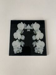 10x10cm - Beyaz Orkide, Bardak Altlığı - Sunumluk