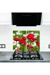 2' li 30x52 cm Cam Ocak Koruyucu Model 191