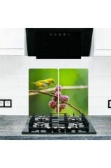 2' li 30x52 cm Cam Ocak Koruyucu Model 356