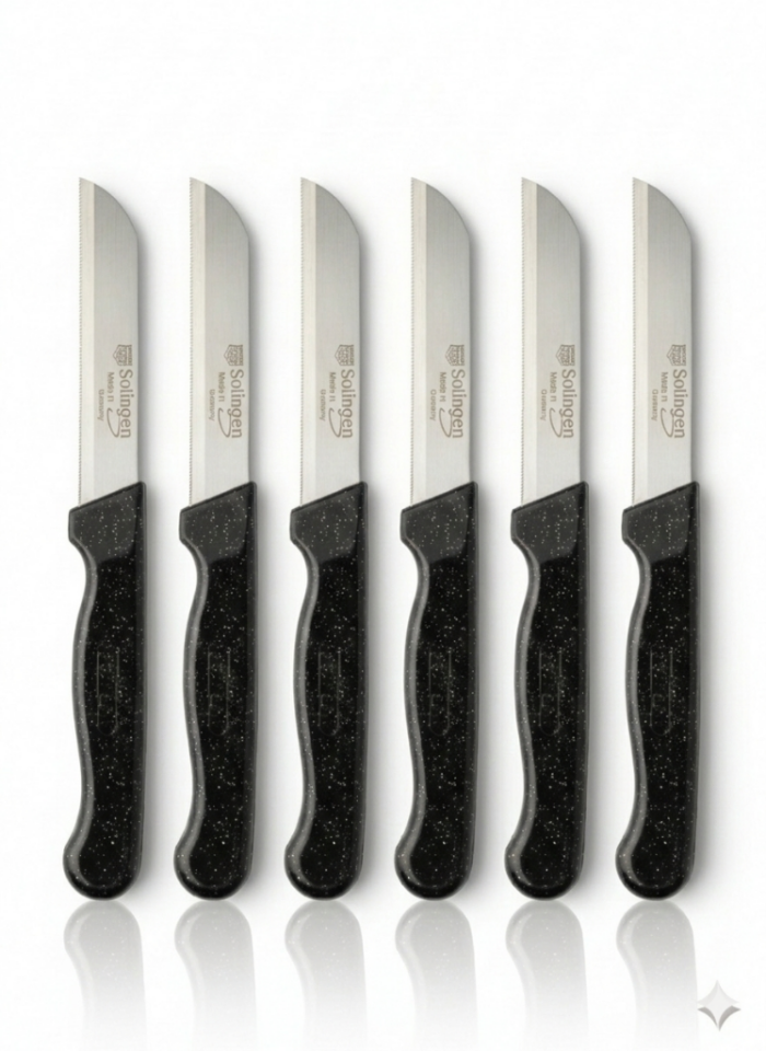 Siyah, 6’lı Paslanmaz Çelik Meyve Bıçağı Seti – Tırtıklı Keskin Ağız