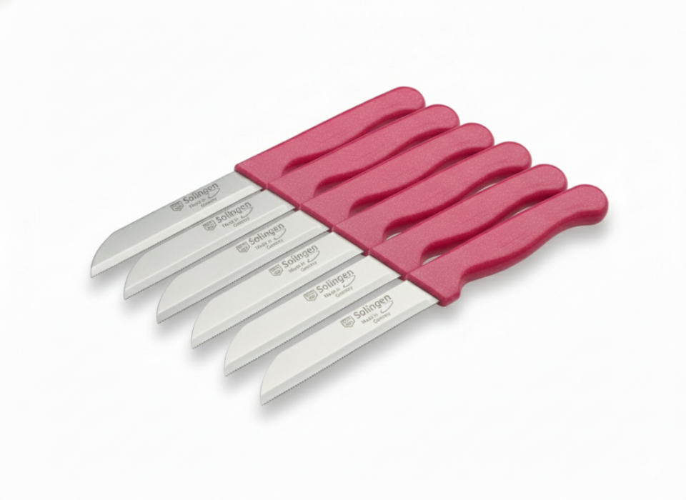 Pembe, 6’lı Paslanmaz Çelik Meyve Bıçağı Seti – Tırtıklı Keskin Ağız