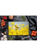 20x30 cm Cam Kesme Tahtası Serçe Görünümlü