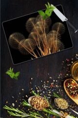 30x40 cm Cam Kesme Tahtası Karagindiba