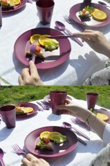 Katlı Piknik Seti Mürdüm