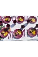 Katlı Piknik Seti Mürdüm