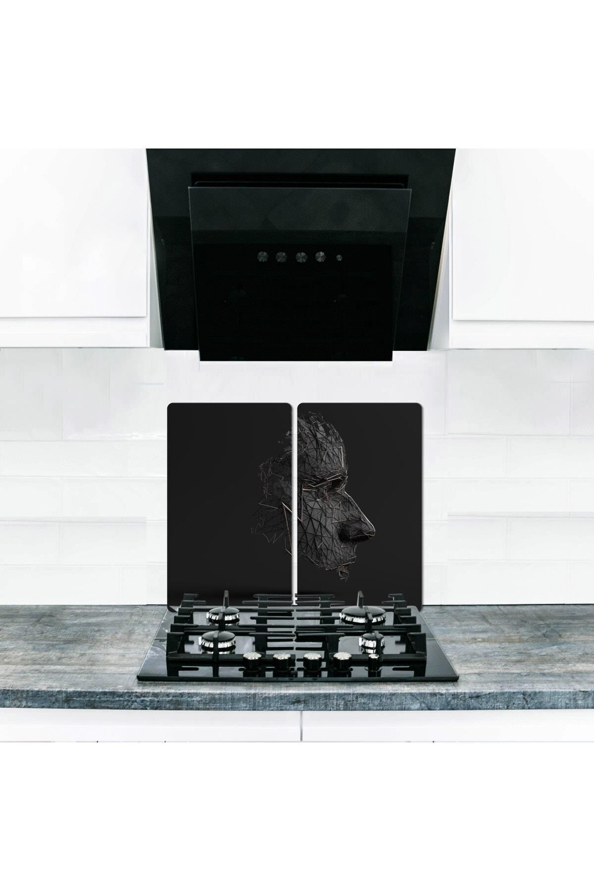 2'li 40x52 cm Cam Ocak Koruyucu 5'li Ocaklar İçin Kara