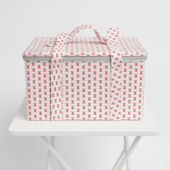 Saban  Termal Soğutucu Çanta | Kamp, Piknik ve Seyahat İçin İzolasyonlu Taşıma Çantası 15 Litre Kırmızı