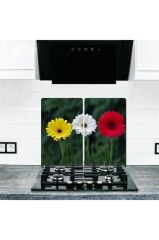 2' li 30x52 cm Cam Ocak Koruyucu Model 331