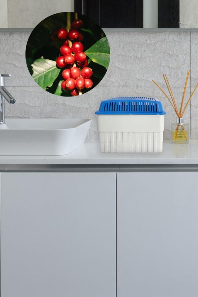 1 Kilogram Dikdörtgen, Kırmızı Meyve Kokulu - Nem Alıcı Aparat + Tablet