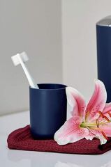 Diş Fırçalık Ve Macunluk Lacivert