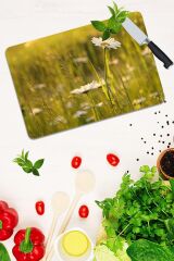 30x40 cm Cam Kesme Tahtası Model 202