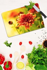 30x40 cm Cam Kesme Tahtası Model 200