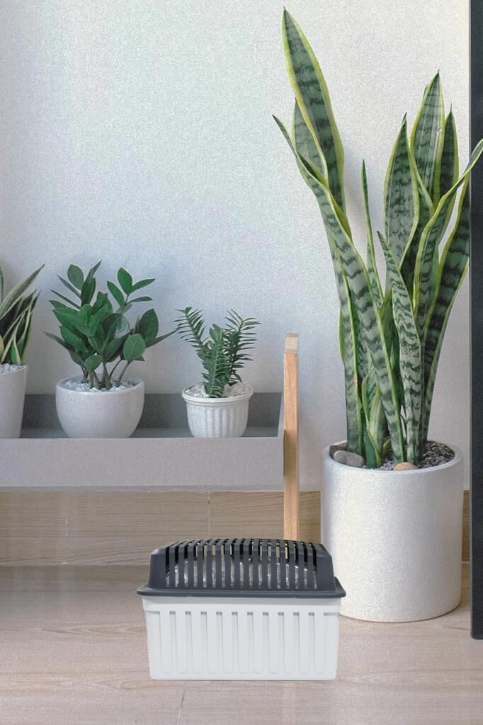 1 Kg Blok Gri Dikdörtgen Nem Alıcı Aparat Naturel