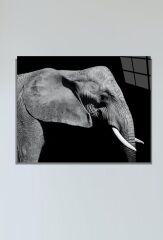 60 X 70 Cm Fil Desenli Cam Tablo 4mm Temperli Camdır