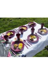 Çantalı Piknik Seti Mürdüm 30 Parça